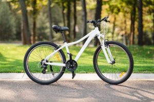Hybrid Bike Vs Mountain bike