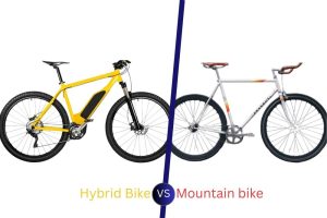 Hybrid Bike Vs Mountain bike