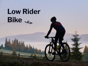 Low rider bike